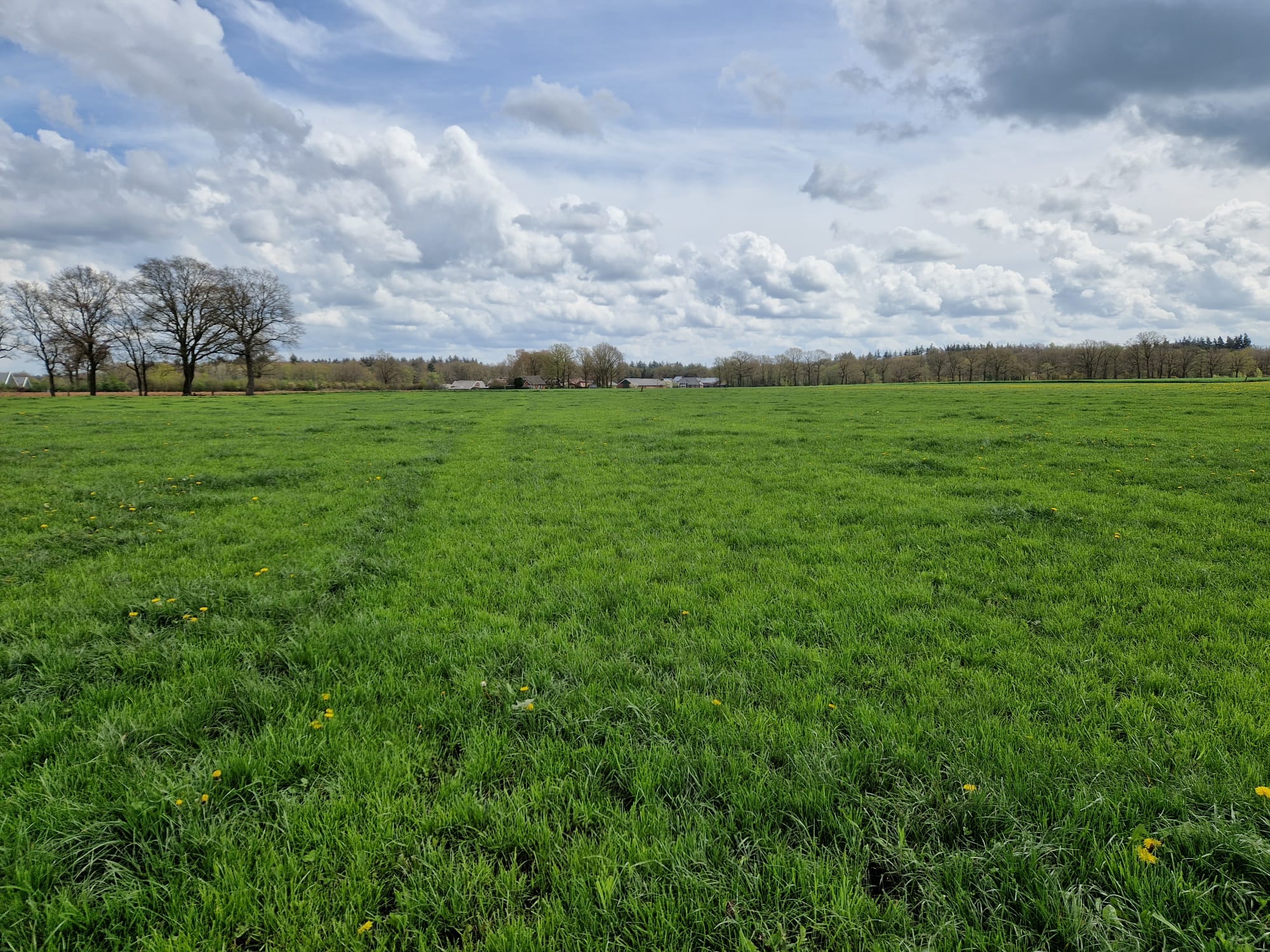 Wessels vertrapt gras weg 23 april 2023